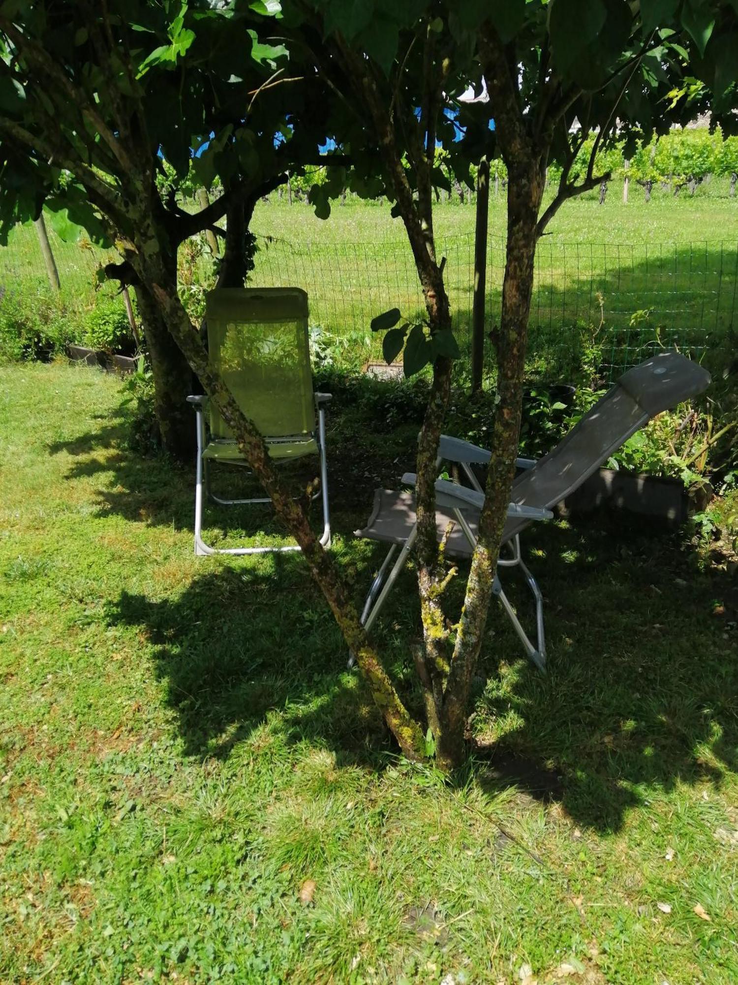 Gite " Suzon" A Peyroutas Vignonet St Emilion Exteriér fotografie