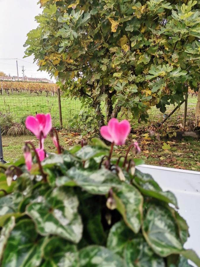 Gite " Suzon" A Peyroutas Vignonet St Emilion Exteriér fotografie